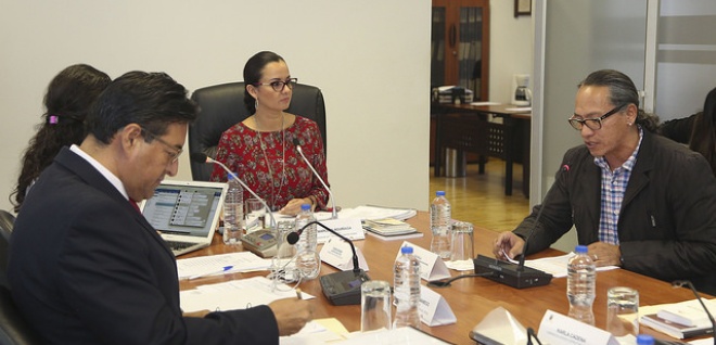 Continúa estudio de proyectos de leyes de Fortalecimiento de la Seguridad Ciudadana y de Protección a la Intimidad   