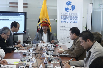 Avanza análisis de Código Orgánico Ambiental 