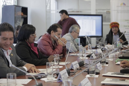 Consulta sobre Código del Ambiente genera consensos en el 77%