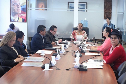 Comisión de Derechos Colectivos inicia debate del proyecto de Derechos Lingüísticos