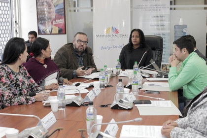 La Comisión de los Derechos Colectivos analiza el proyecto de Ley de Derechos Lingüísticos de los Pueblos y Nacionalidades