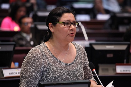 Asambleísta Dora Aguirre. Foto - Archivo
