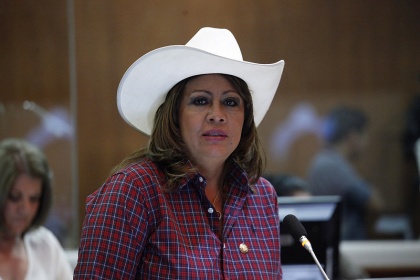 Asambleísta Isabel Mosquera invita a participar a diálogo por equidad y la justicia