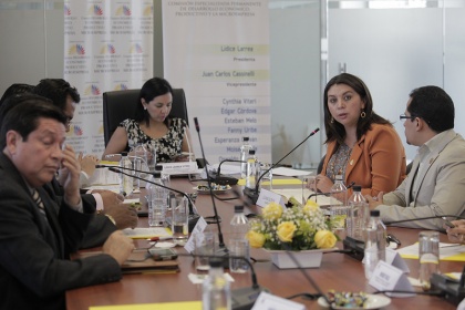 Liliana Guzmán expone reforma a la Ley del Servicio Público de Energía Eléctrica