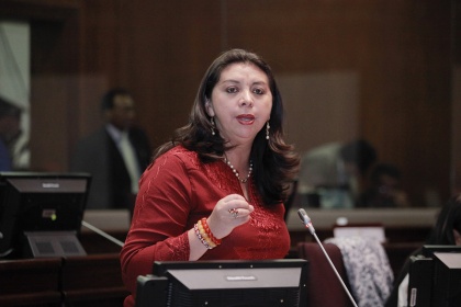Asambleísta Liliana Guzmán. Foto - Archivo