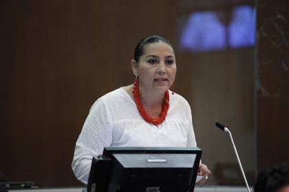Ultiman detalles para el análisis de presupuesto para infancia 
