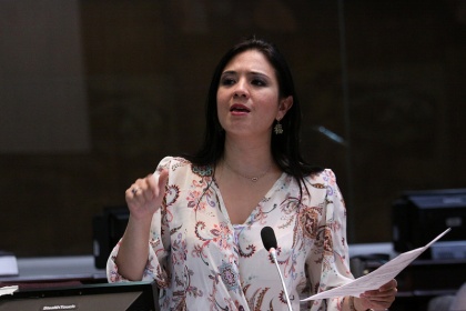 Pamela Falconí destaca acuerdos en proyecto de Ley de Medicina Integral Prepagada