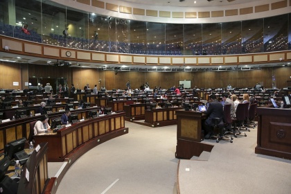 Segundo debate de Parto Humanizado, sesión del Pleno 409