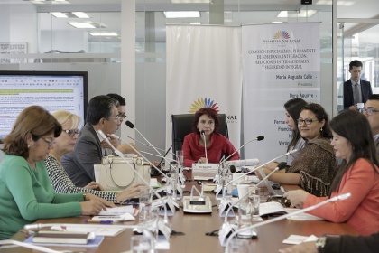 Comisión de Relaciones Internacionales discute situación de la seguridad privada 