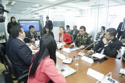 Caso Michelle Montenegro, Comisión Desaparecidos