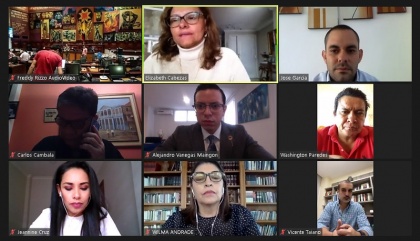 Comisión Enmienda, Alejandro Vanegas 