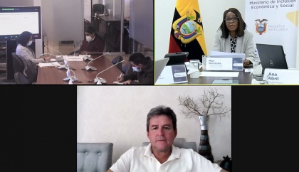 Comisión de Garantías Constitucionales, Mininistra de Incluión Económica y Social, caso Furukawa,