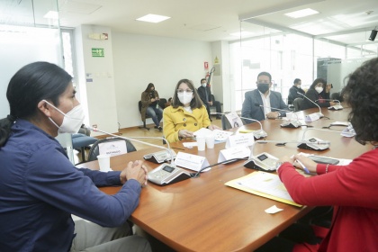 Comisión de Garantías Constitucionales revisa actuación del Ministerio de Salud en el caso Furukawa