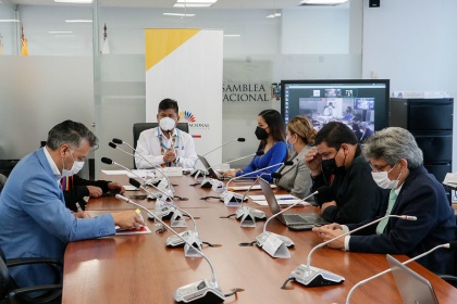 El análisis del proyecto de Ley de Legalización de la Tenencia de Tierras continúa en Gobierno Autónomos
