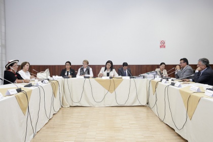 Comisión Ocasional Aampetra. Foto - Archivo