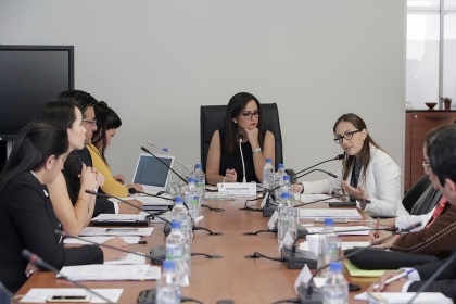 Ministra de Salud plantea, en la Comisión de Justicia clarificar ensayos clínicos 