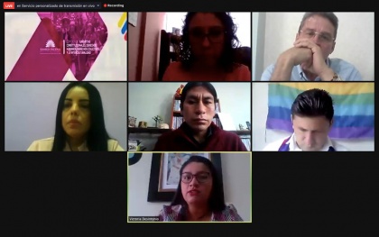 Comisión de Garantías Constitucionales, Ministra de Salud, Ley de Apoyo Humanitario,