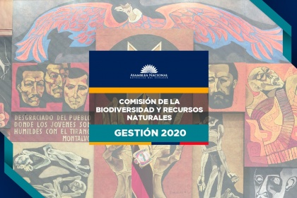 En el 2021 se entregarán informes de segundo debate de reformas a Ley de Galápagos y Minería