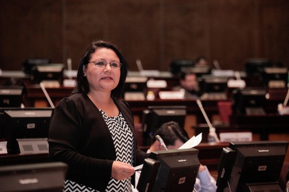 Asambleísta Dora Aguirre, vicepresidenta de la Comisión de Relaciones Internacionales- Foto - Archivo