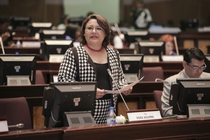 Dora Aguirre, sesión del Pleno 429, Movilidad Humana