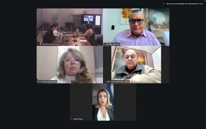 Comisión de Educación, Zolanda Plúas