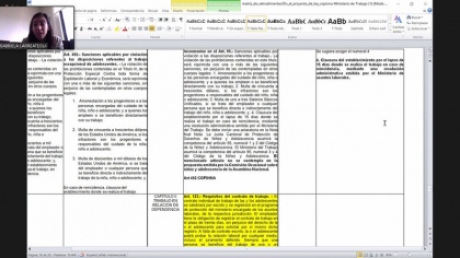 Comisión se apresta a revisar observaciones de fondo sobre Código de Protección Integral de Niños y Adolescentes