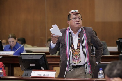 Asambleísta Angel Gende, vicepresidente de la Comisión de Participación Ciudadana