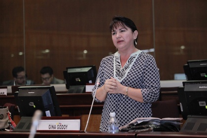 Asambleísta Gina Godoy, coordinadora del Grupo Parlamentario por los Derechos de las Mujeres. Foto - Archivo