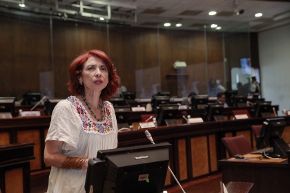 Asambleísta María Augusta Calle, presidenta de la Comisión de Relaciones Internacionales. Foto - Archivo