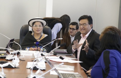 Comisión Ocasional para atender temas y normas sobre la Niñez y Adolescencia, Reformas al Códigod de la Niñez