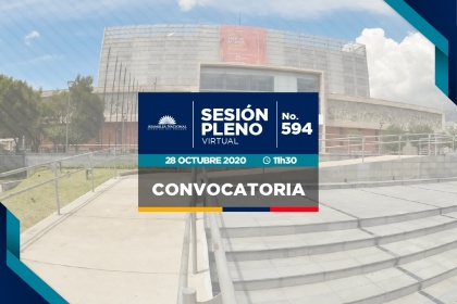 Continuación de la sesión del Pleno 594, elección de Secretario y Prosecretario,