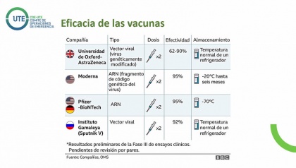 Comisión del Derecho a la Salud, vacunas Covi-19., diálogo, expertos,