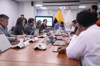 Comisión de Garantías Constitucionales, royecto de Ley Orgánica de Consulta Popular