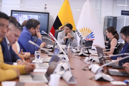 Comisión de Garantías Constitucionales, proyectos de Ley de Consulta Popular y de Ley Orgánica de Víctimas de Violaciones a los Derechos Humanos,