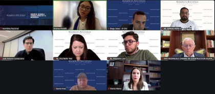 Comisión de Desarrollo Económico, Proyecto de Ley Orgánica para el Fortalecimiento de los Sectores Estratégicos de Minería y Energía, sector acuícola y de expertos del ámbito eléctrico