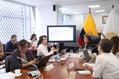 Comisión de Régimen Económico y Tributario, experta en derecho regulatorio, Larissa Gaibor, reforma de contratación pública,