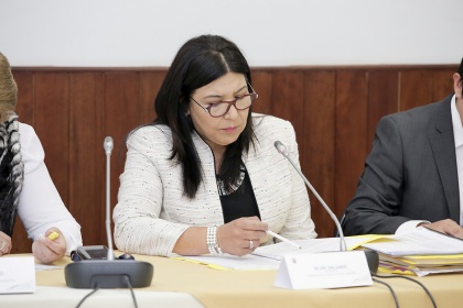 Asambleísta Silvia Salgado, presidenta de la Comisión Aampetra