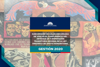 Subcomisión de Salud, Informe de Labores 2020,