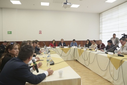 Comisión Ocasional de tránsito intensifica estudio del uso de las licencias emitidas en el exterior 