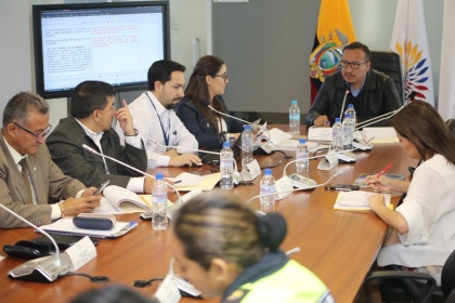 GAD dispondrían de sistemas propios de matriculación vehicular