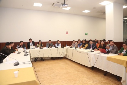 Comisión Ocasional de Tránsito fiscaliza problemática de matriculación de vehículos
