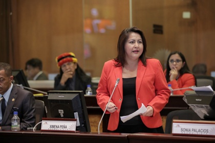 Pleno debate resolución para respaldar a ecuatorianos deportados de Estados Unidos
